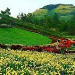 Taman Penuh Pesona